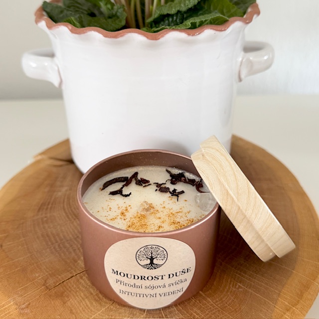 MOUDROST DUŠE přírodní sójová svíčka 118ml