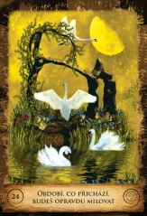 KOUZLO ŽIVOTA | 50 karet + výkladová kniha