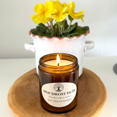 MOUDROST DUŠE přírodní sójová svíčka 180ml