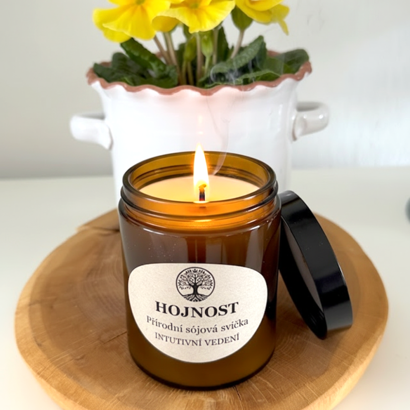 HOJNOST přírodní sójová svíčka 180ml