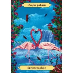 GAIA tarot - 78 karet + výkladová kniha