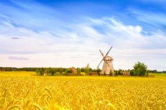 4 fáze, díky kterým se rozběhnou změny ve vašem životě