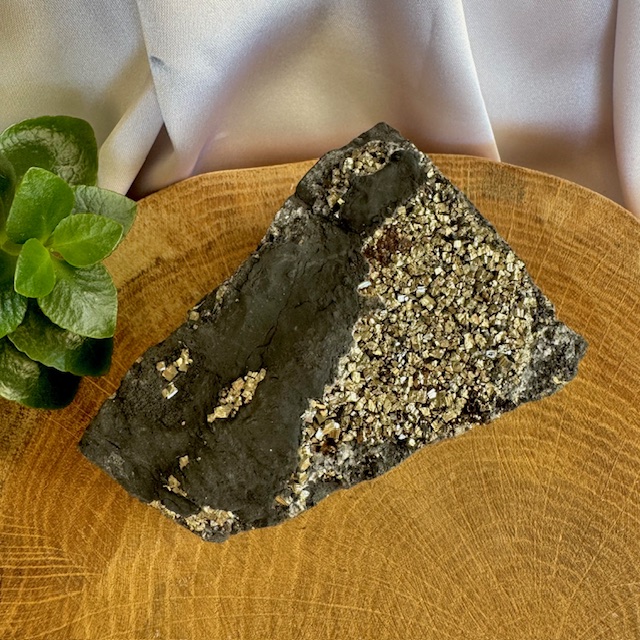 Šungit s pyritem č.12