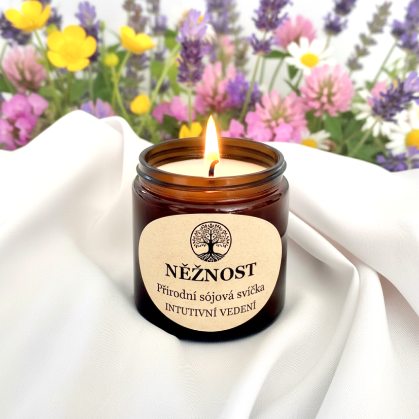 NĚŽNOST přírodní sójová svíčka 120ml