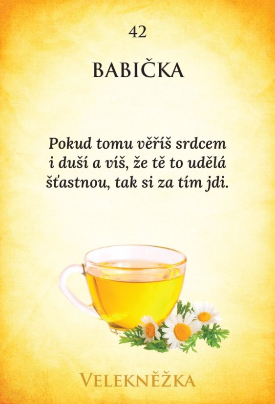 PŘÍBĚH LÁSKY | 50 karet + výkladová kniha
