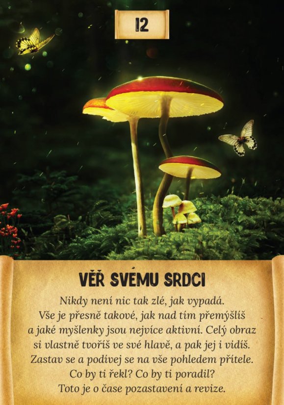ČAROVNÝ LES | 55 karet
