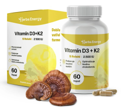 Vitamín D3 + K2 + reishi | 60 kapslí