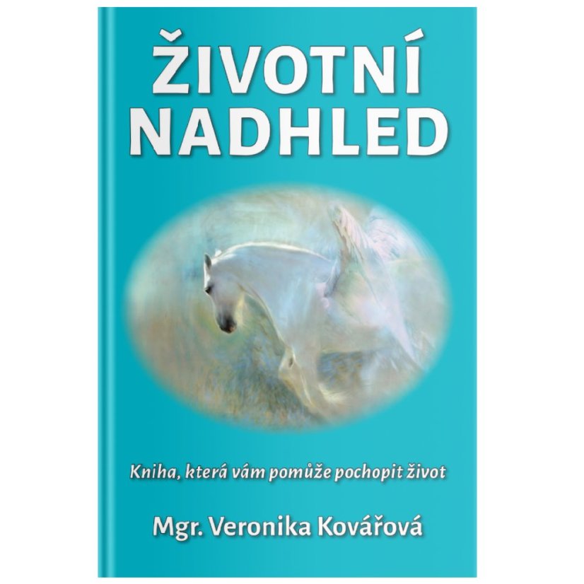 Životní nadhled