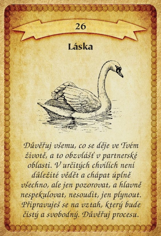 VZKAZY V LAHVI | 52 karet + výkladová kniha