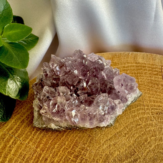 Ametyst drúza č.17 | 70g