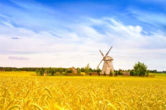 4 fáze, díky kterým se rozběhnou změny ve vašem životě