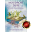 MOUDROST DUŠE | 46 karet + výkladová kniha