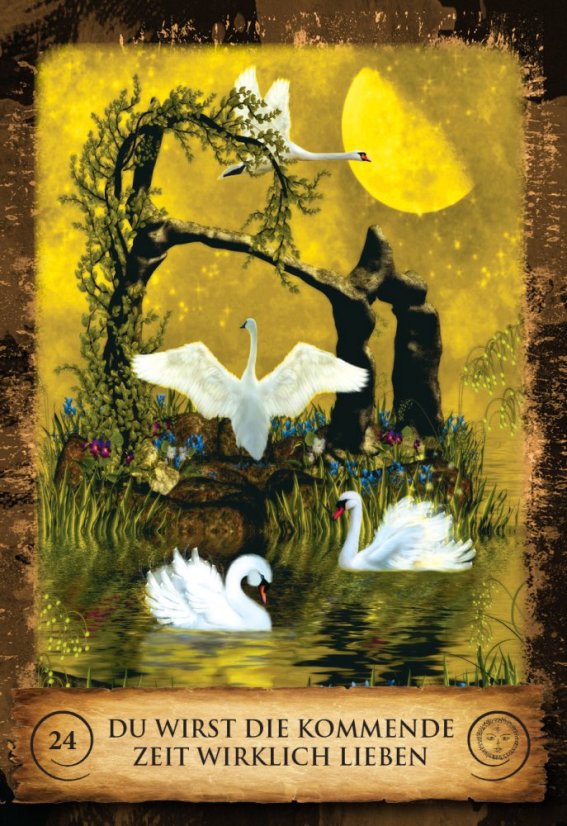 ZAUBER DES LEBENS | 50 Karten + Begleitbuch