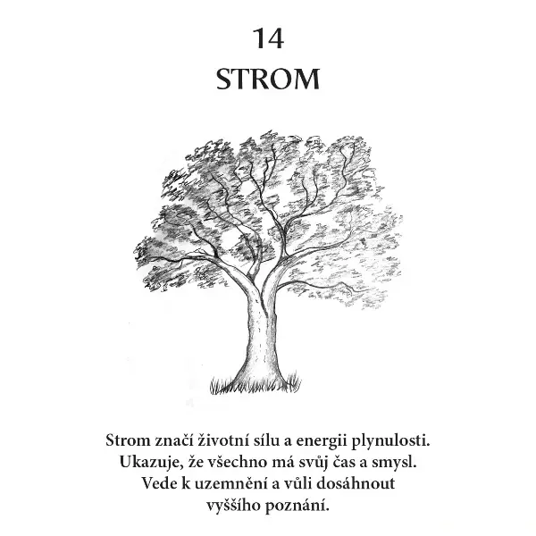 KARTY S POSVÁTNÝMI SYMBOLY 52 karet + výkladová kniha