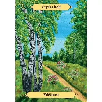 GAIA tarot - 78 karet + výkladová kniha