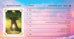 Luxusní týdenní kalendář 2026 PLÁN DUŠE