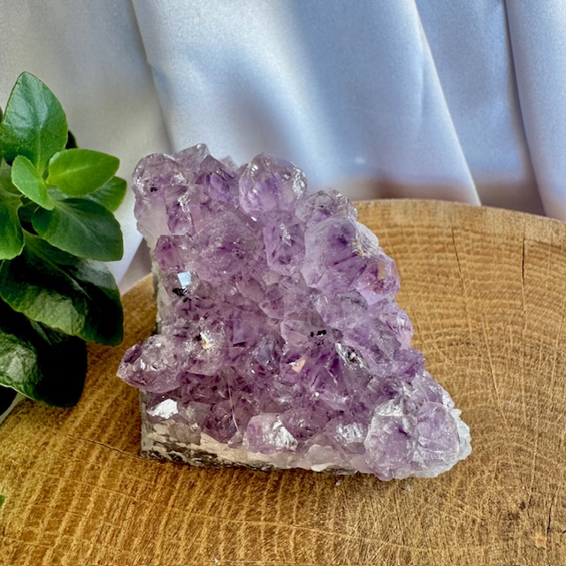 Ametyst drúza č.14 | 144g