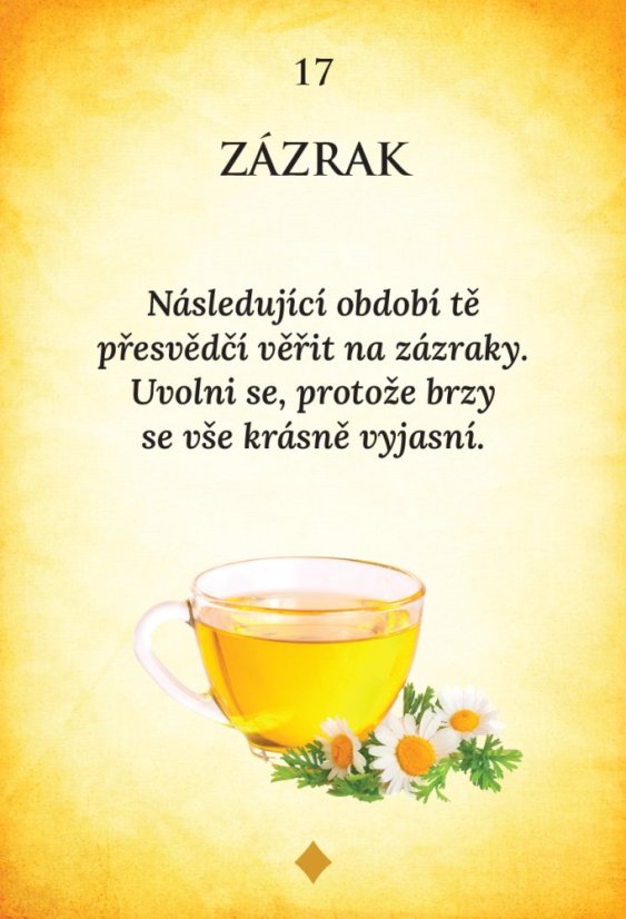 PŘÍBĚH LÁSKY | 50 karet + výkladová kniha