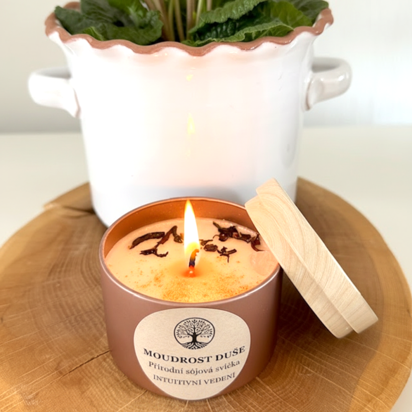 MOUDROST DUŠE přírodní sójová svíčka 118ml